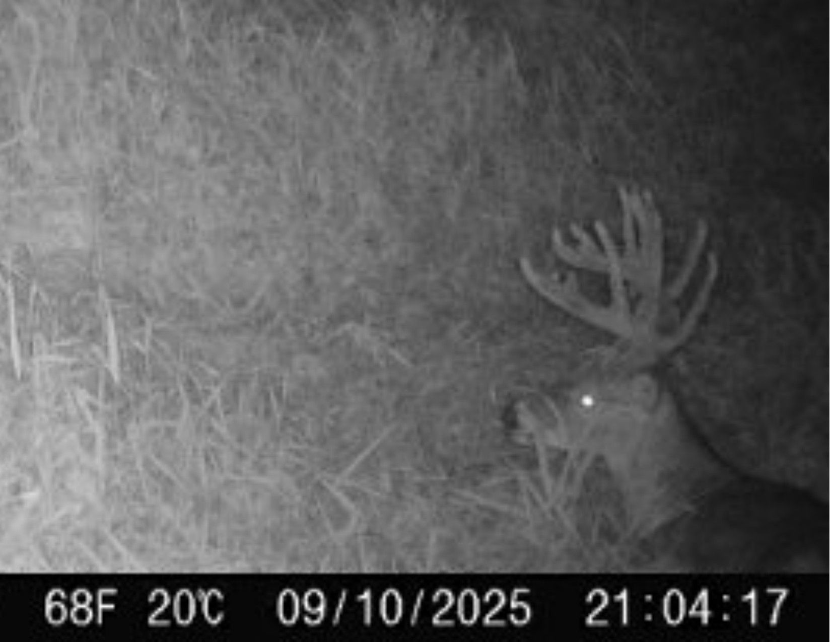 Listing Photo: 1066 Co Rd S56, Wayne County, Iowa